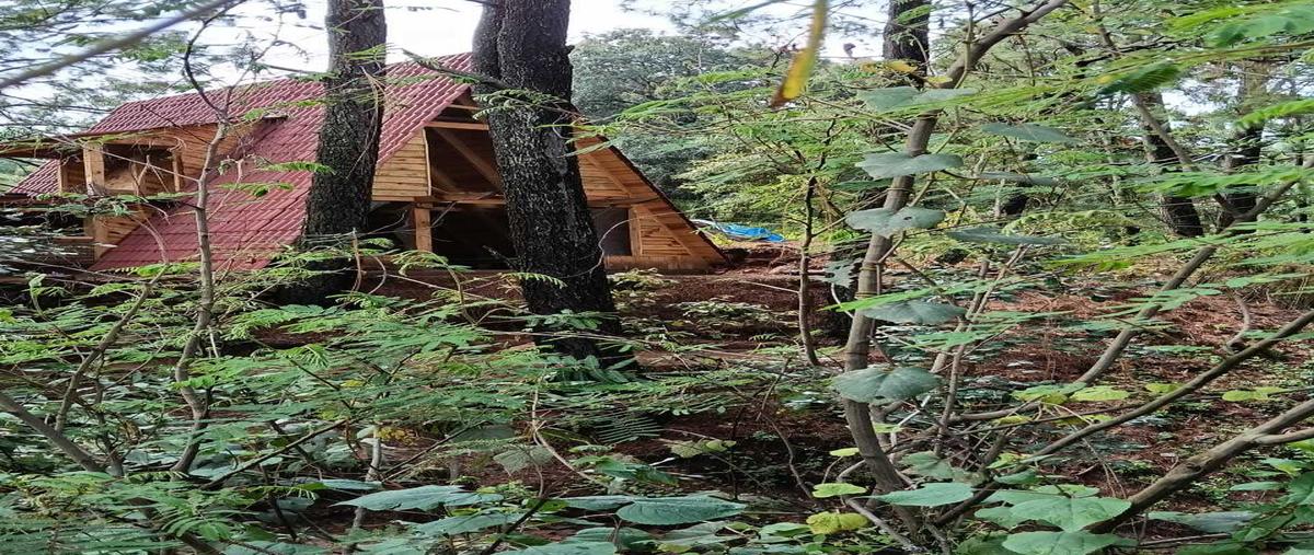 Foto de casa en renta en castellano , san antonio, valle de bravo, méxico, 0 No. 04