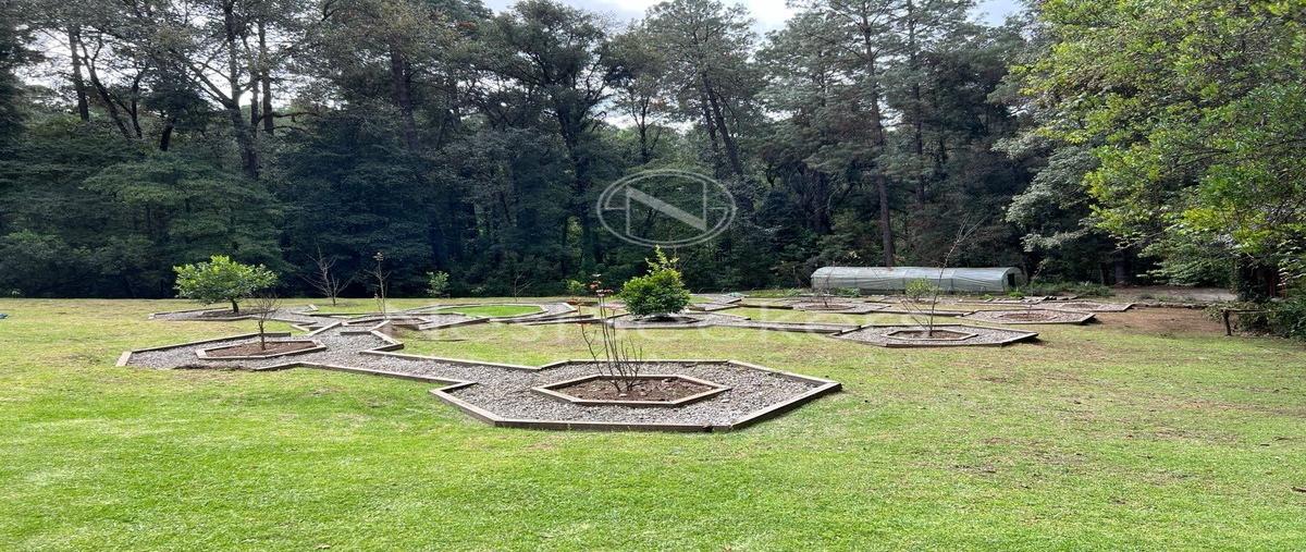 Foto de casa en renta en castellano , san juan, amanalco, méxico, 0 No. 05