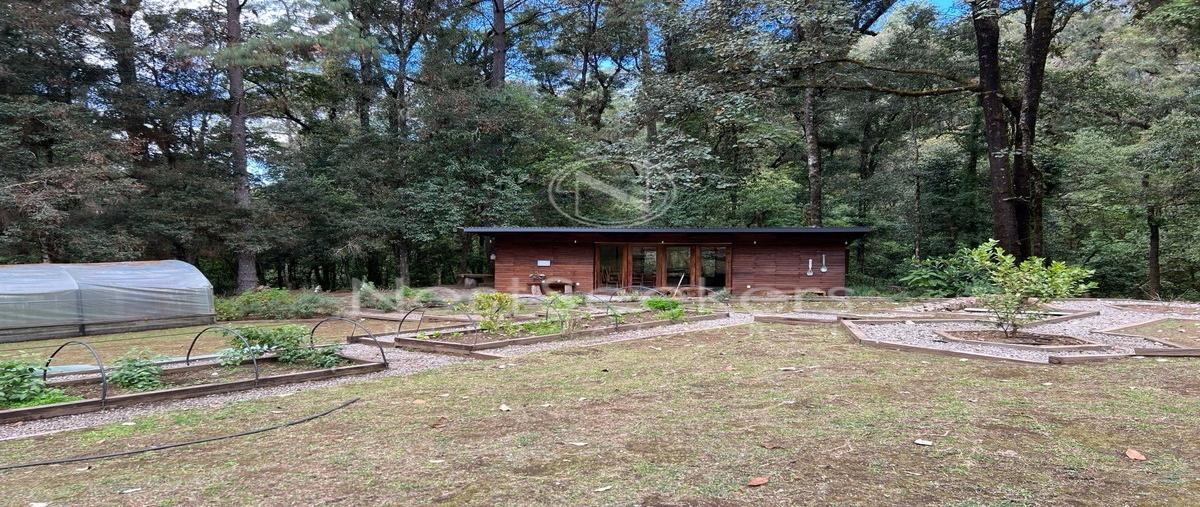 Foto de casa en renta en castellano , san juan, amanalco, méxico, 0 No. 06