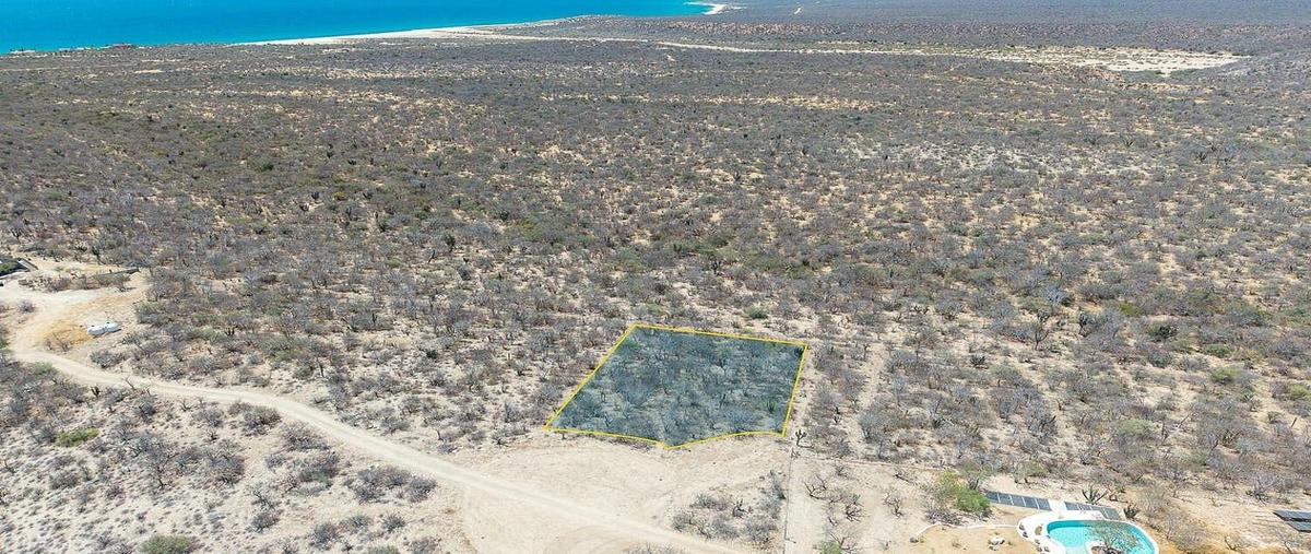 Foto de terreno habitacional en venta en castillo de arena , los frailes, los cabos, baja california sur, 31132487 No. 05