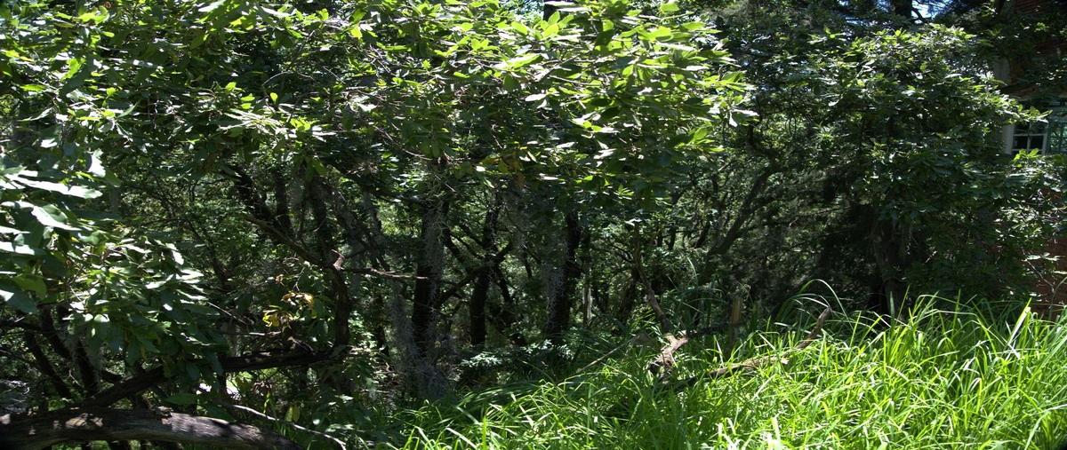 Foto de terreno habitacional en venta en castillo de lancashire , condado de sayavedra, atizapán de zaragoza, méxico, 28567418 No. 04