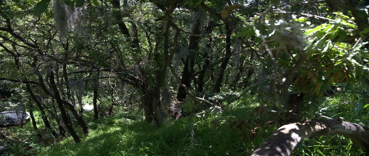 Foto de terreno habitacional en venta en castillo de lancashire , condado de sayavedra, atizapán de zaragoza, méxico, 28567418 No. 05