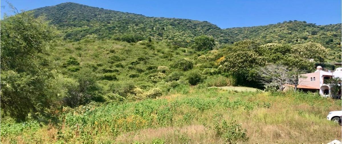 Foto de terreno habitacional en venta en castillos del chante , chantepec (el chante), jocotepec, jalisco, 0 No. 03