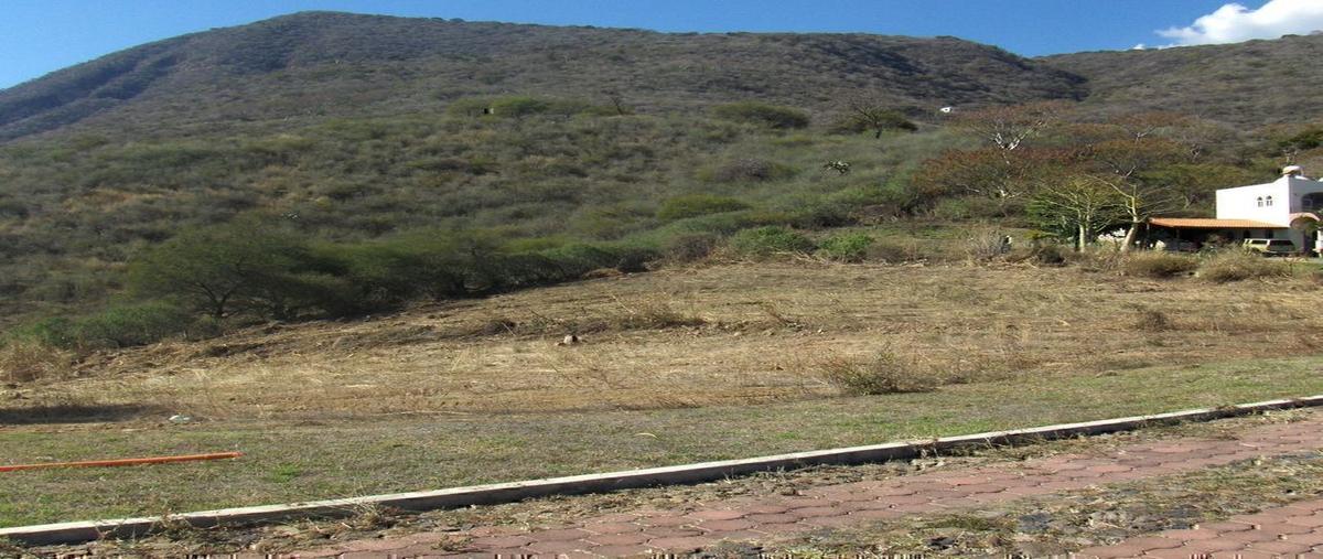 Foto de terreno habitacional en venta en castillos del chante , chantepec (el chante), jocotepec, jalisco, 0 No. 04