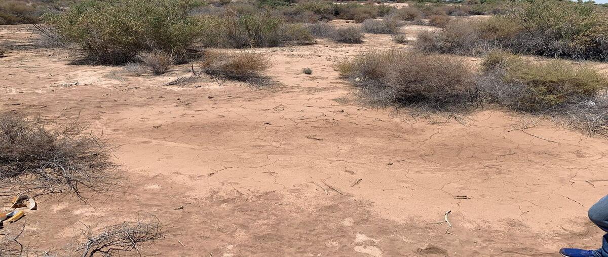 Foto de terreno habitacional en venta en  , castro, mexicali, baja california, 0 No. 05