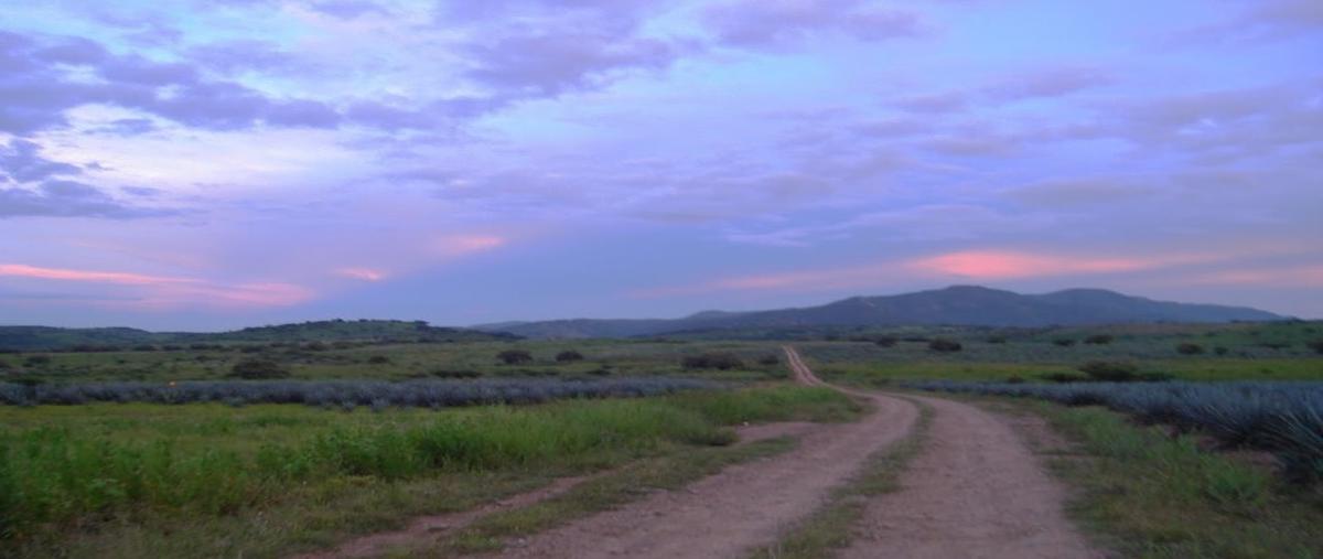 Foto de terreno industrial en . , castro urdiales (pacana), tala, jalisco, 0 foto 02 Foto de terreno industrial en venta en . , castro urdiales (pacana), tala, jalisco, 0 No. 02