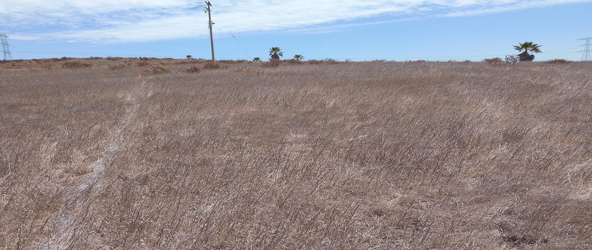 Foto de terreno habitacional en venta en castus , mar de calafia, playas de rosarito, baja california, 31718917 No. 04