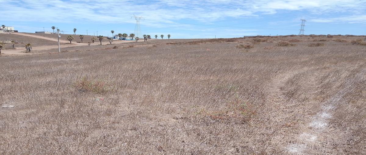 Foto de terreno habitacional en venta en castus , mar de calafia, playas de rosarito, baja california, 31718917 No. 05