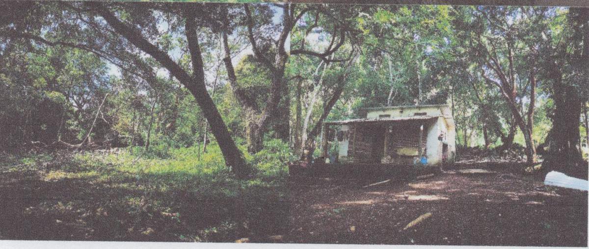Foto de terreno habitacional en , catemaco, catemaco, veracruz de ignacio de la llave, 25916206 foto 04 Foto de terreno habitacional en venta en , catemaco, catemaco, veracruz de ignacio de la llave, 25916206 No. 04