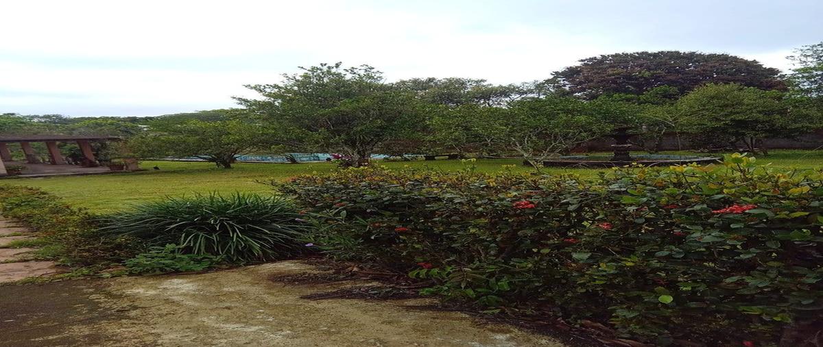 Foto de terreno habitacional en venta en  , catemaco, catemaco, veracruz de ignacio de la llave, 31002330 No. 04