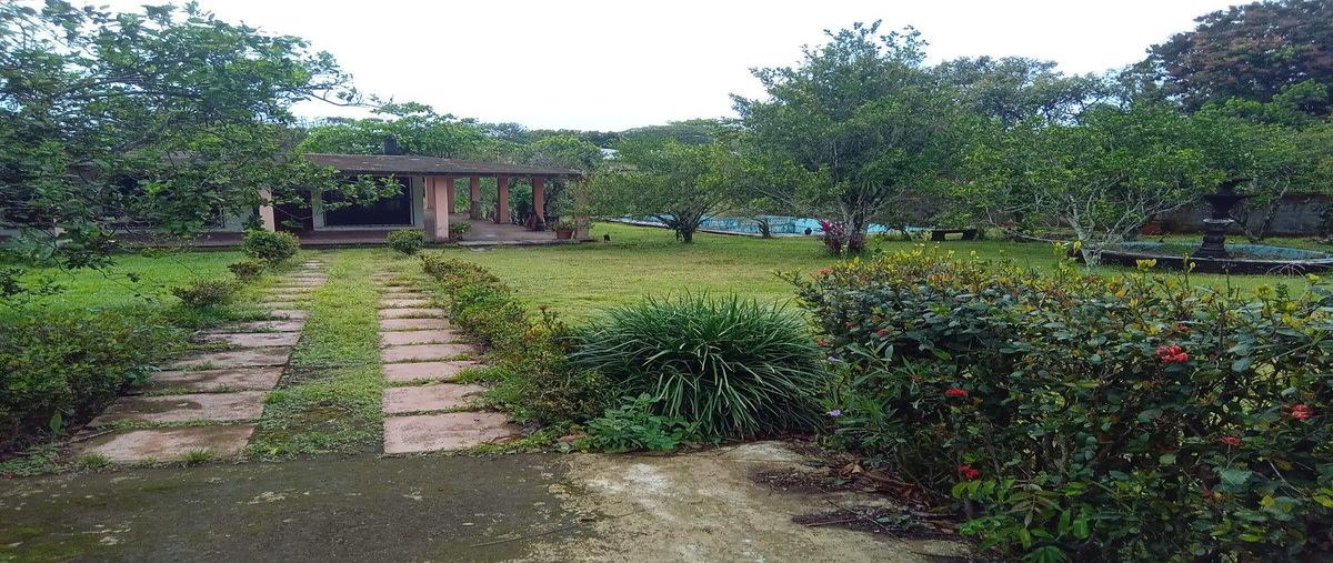 Foto de terreno habitacional en venta en  , catemaco, catemaco, veracruz de ignacio de la llave, 31002330 No. 05