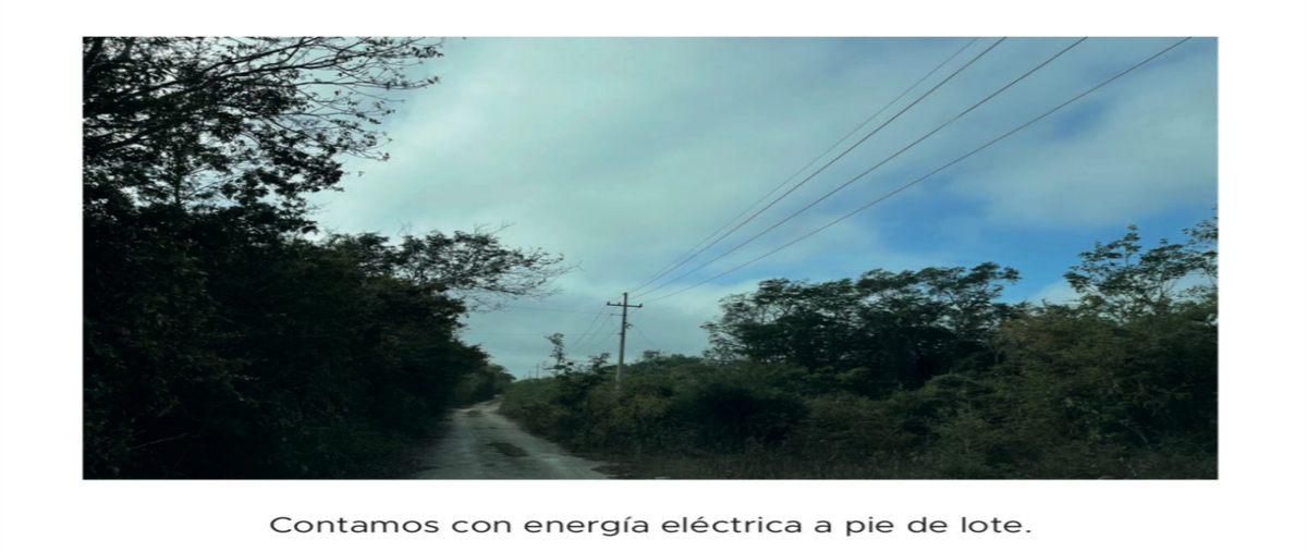 Foto de terreno habitacional en venta en caucel , caucel, mérida, yucatán, 29505029 No. 05