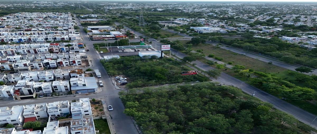 Foto de terreno habitacional en caucel , caucel, mérida, yucatán, 30380492 foto 01 Foto de terreno habitacional en renta en caucel , caucel, mérida, yucatán, 30380492 No. 01