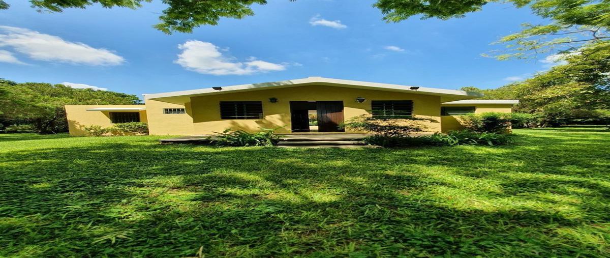Foto de rancho en venta en  , caucel, mérida, yucatán, 16873310 No. 02