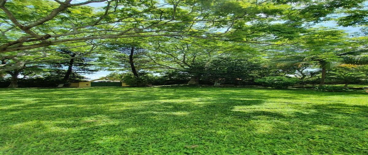 Foto de rancho en venta en  , caucel, mérida, yucatán, 16873310 No. 03