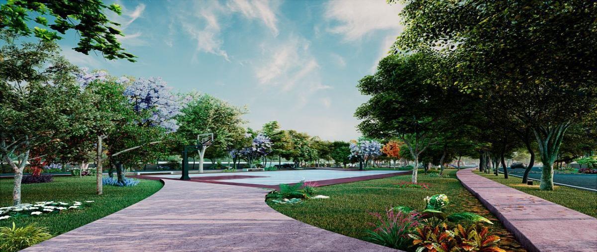 Foto de terreno habitacional en venta en  , caucel, mérida, yucatán, 27918274 No. 04