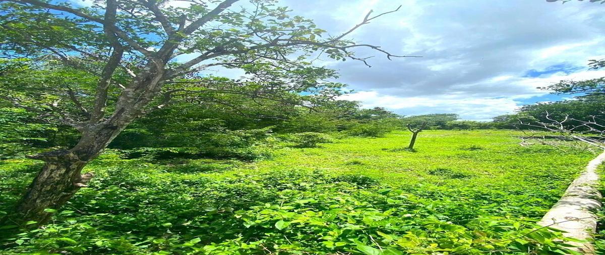 Foto de terreno habitacional en venta en  , caucel, mérida, yucatán, 28583098 No. 05