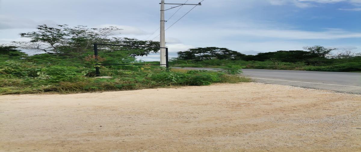 Foto de terreno habitacional en venta en  , caucel, mérida, yucatán, 0 No. 03