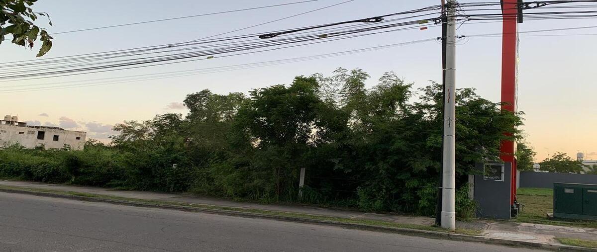 Foto de terreno habitacional en , caucel, mérida, yucatán, 29977562 foto 03 Foto de terreno habitacional en renta en , caucel, mérida, yucatán, 29977562 No. 03