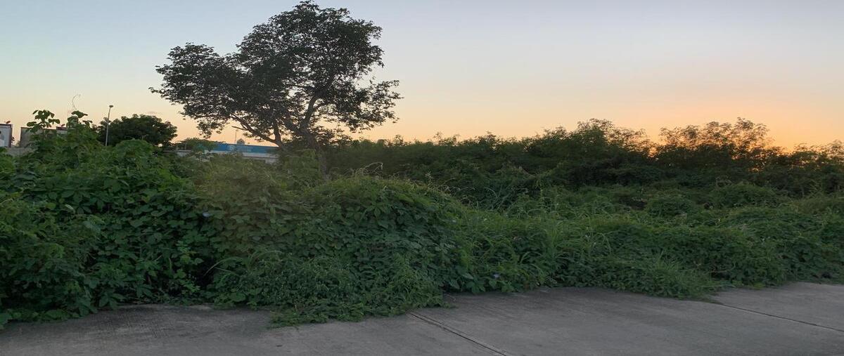 Foto de terreno habitacional en , caucel, mérida, yucatán, 29977562 foto 04 Foto de terreno habitacional en renta en , caucel, mérida, yucatán, 29977562 No. 04