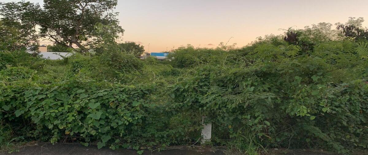 Foto de terreno habitacional en , caucel, mérida, yucatán, 29977562 foto 05 Foto de terreno habitacional en renta en , caucel, mérida, yucatán, 29977562 No. 05