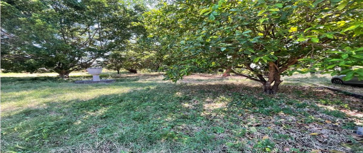 Foto de rancho en venta en  , caudillo del sur, yautepec, morelos, 23231232 No. 03