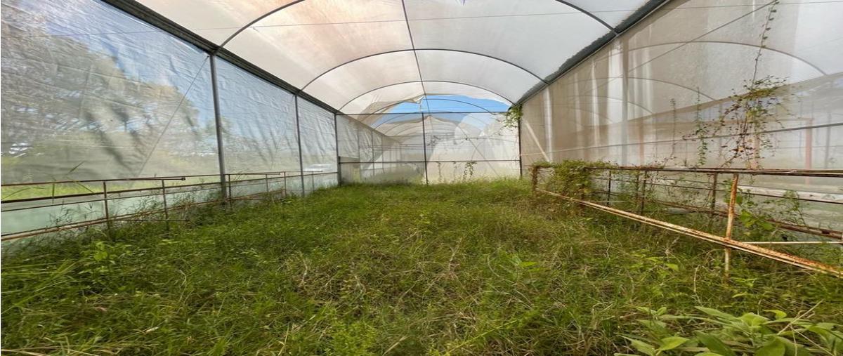 Foto de rancho en venta en  , caudillo del sur, yautepec, morelos, 23285498 No. 03