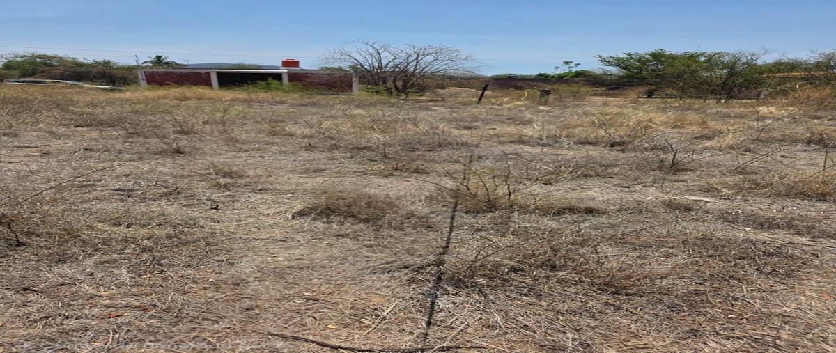 Foto de terreno habitacional en venta en  , caudillo del sur, yautepec, morelos, 0 No. 03