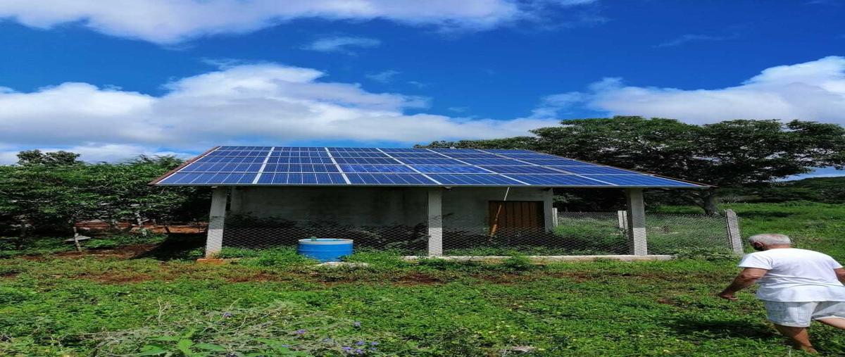 Foto de rancho en venta en  , caxaytuk, tzucacab, yucatán, 0 No. 05