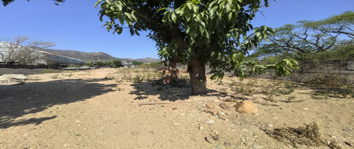 Foto de terreno habitacional en venta en  , cayaco, acapulco de juárez, guerrero, 29509072 No. 05