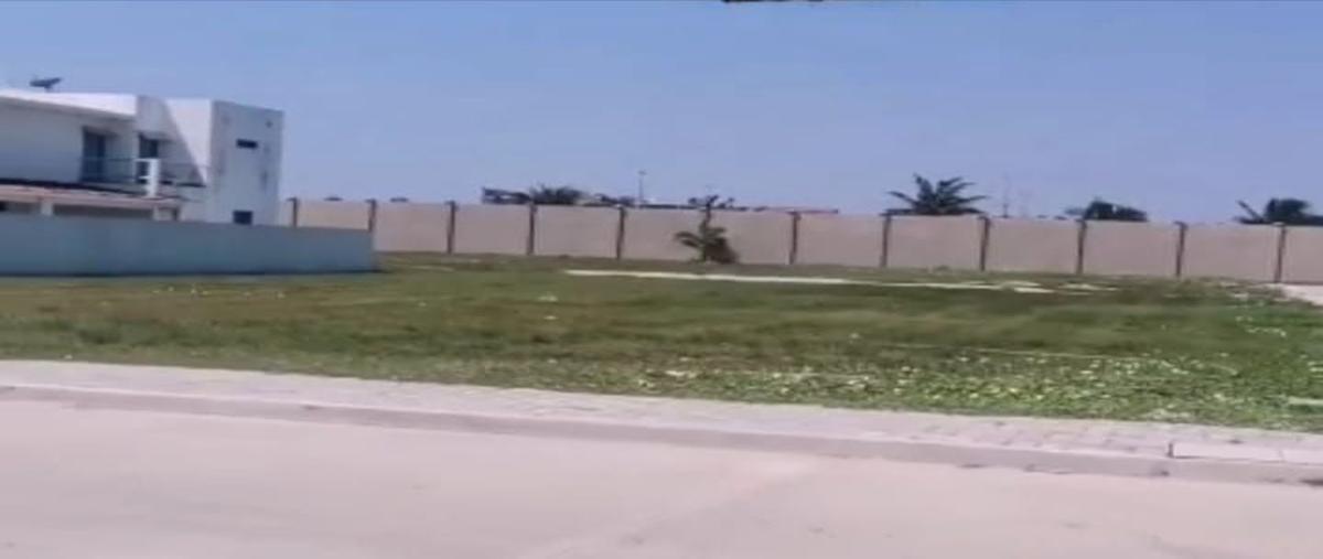 Foto de terreno habitacional en venta en ccc country , isla de tris, carmen, campeche, 26320107 No. 04