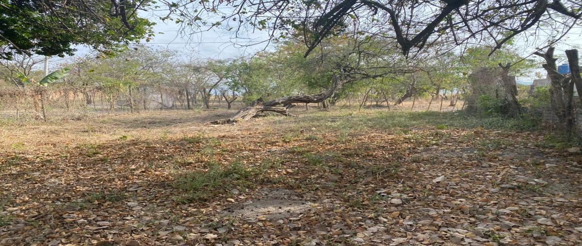 Foto de terreno habitacional en venta en  , cci, tuxtla gutiérrez, chiapas, 30298089 No. 03