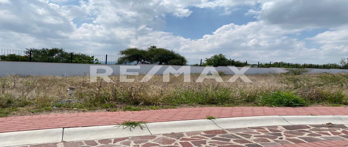 Foto de terreno habitacional en cd. maderas sur , la loma alta, apaseo el grande, guanajuato, 0 foto 02 Foto de terreno habitacional en venta en cd. maderas sur , la loma alta, apaseo el grande, guanajuato, 0 No. 02