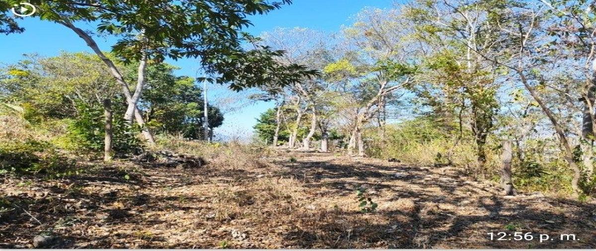 Foto de terreno habitacional en venta en cebollal cerca de , rivera cerro hueco, tuxtla gutiérrez, chiapas, 0 No. 05