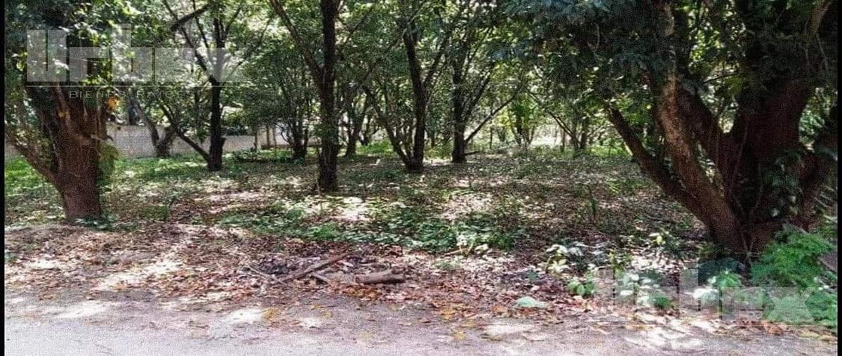 Foto de terreno habitacional en venta en  , cedar campeche, campeche, campeche, 20255086 No. 04