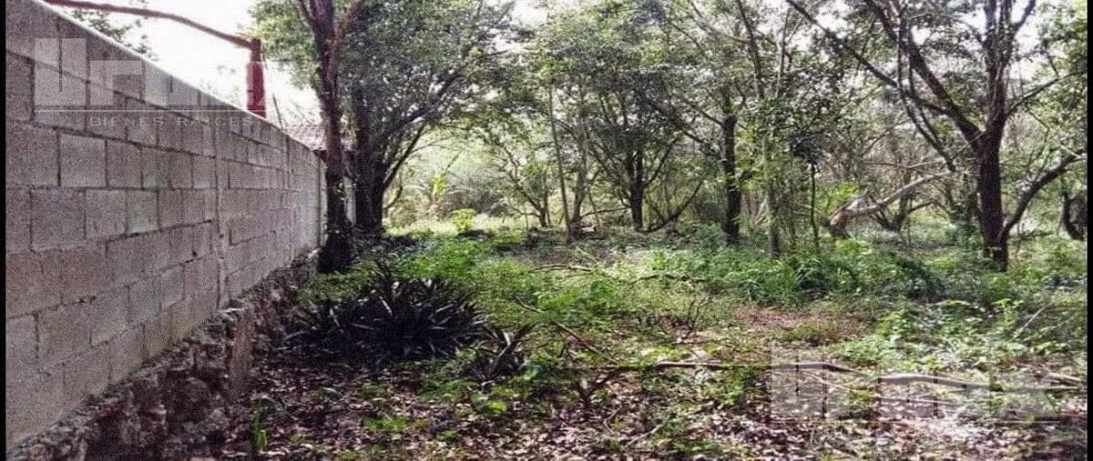 Foto de terreno habitacional en venta en  , cedar campeche, campeche, campeche, 20255086 No. 05