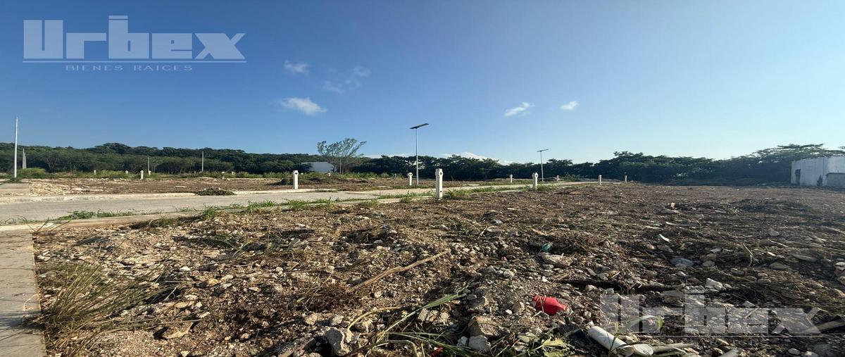 Foto de terreno habitacional en venta en  , cedar campeche, campeche, campeche, 25751341 No. 03
