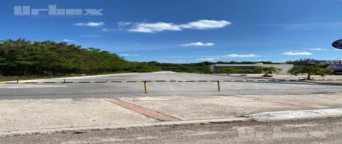 Foto de terreno habitacional en venta en  , cedar campeche, campeche, campeche, 25751341 No. 05