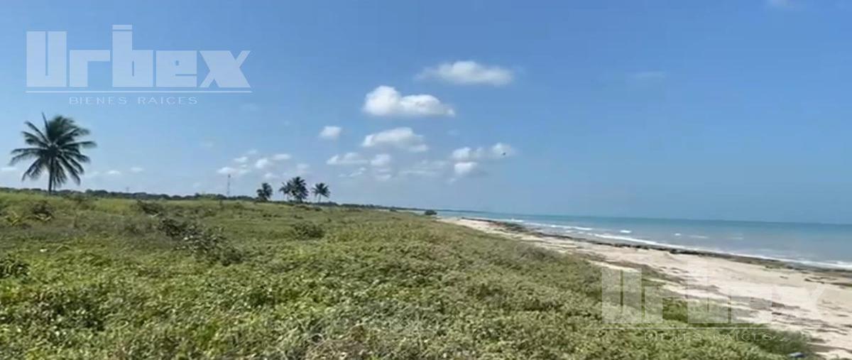 Foto de terreno habitacional en , cedar campeche, campeche, campeche, 25784221 foto 04 Foto de terreno habitacional en venta en , cedar campeche, campeche, campeche, 25784221 No. 04