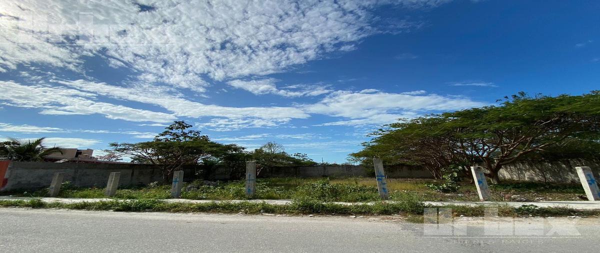 Foto de terreno habitacional en venta en  , cedar campeche, campeche, campeche, 26079729 No. 05