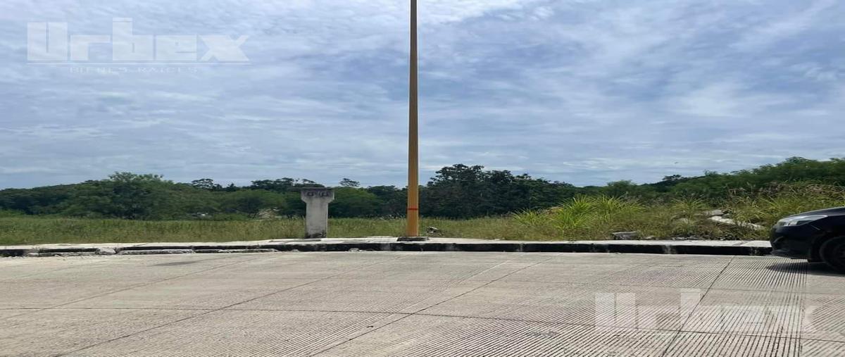 Foto de terreno habitacional en venta en  , cedar campeche, campeche, campeche, 26866881 No. 04