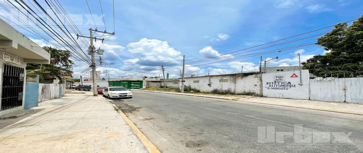 Foto de local en renta en  , cedar campeche, campeche, campeche, 0 No. 03