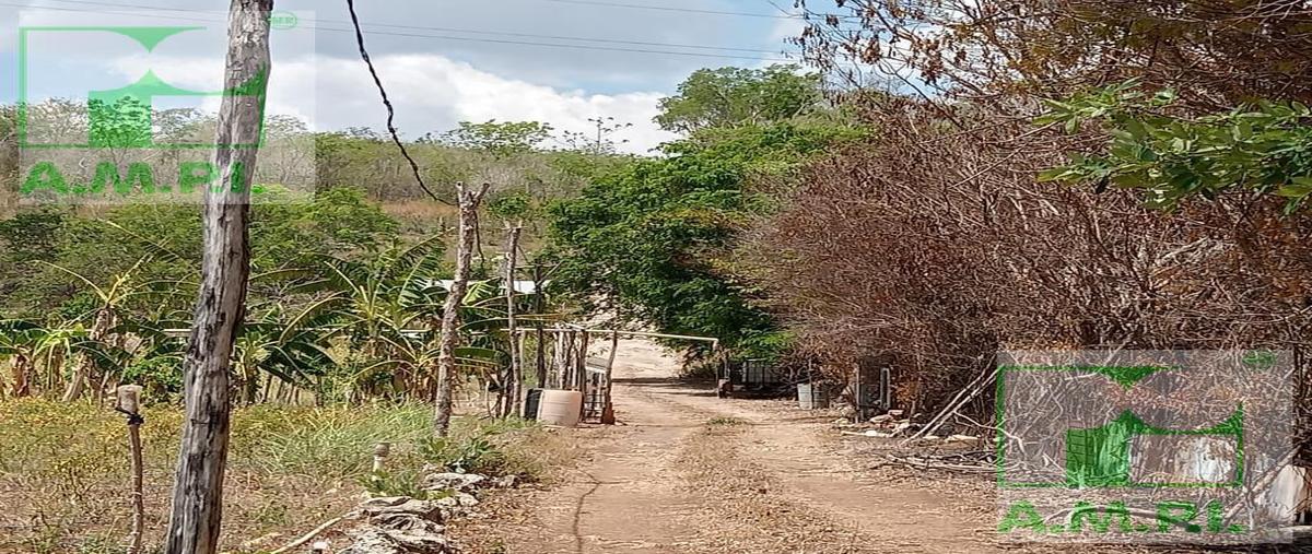 Foto de terreno habitacional en venta en  , cedar campeche, campeche, campeche, 0 No. 03