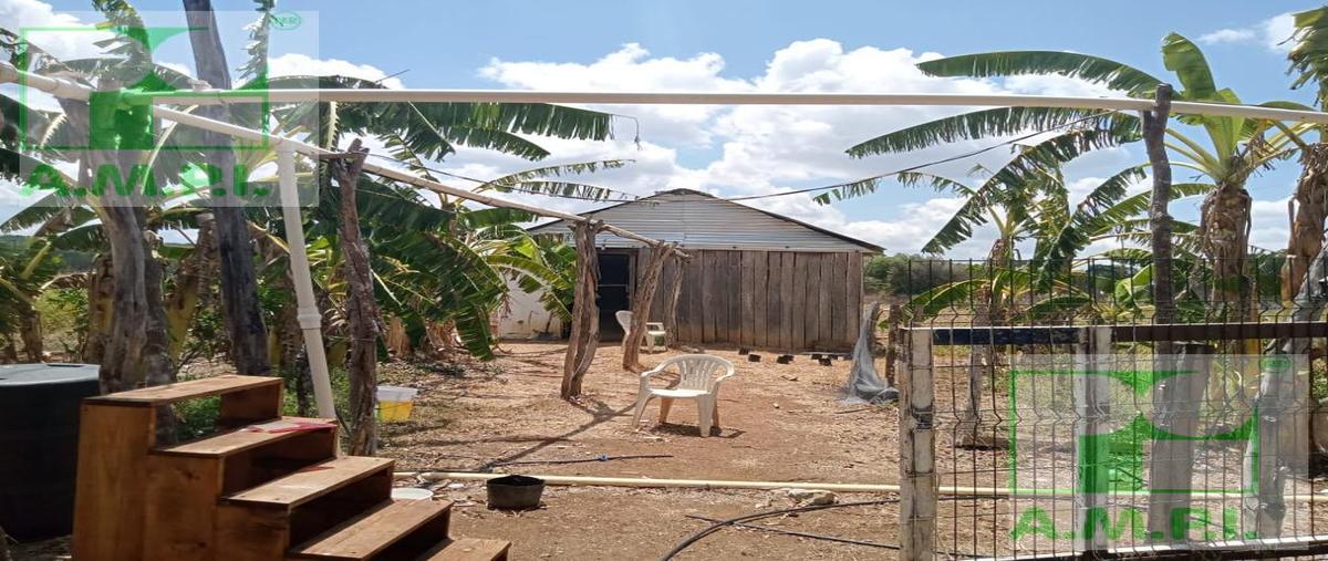Foto de terreno habitacional en venta en  , cedar campeche, campeche, campeche, 0 No. 05