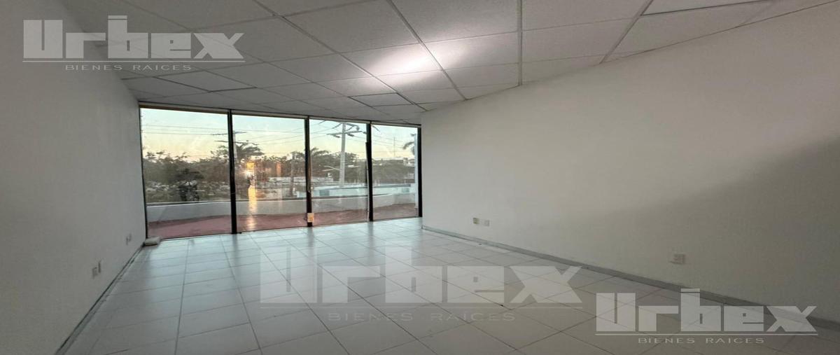 Foto de local en renta en  , cedar campeche, campeche, campeche, 0 No. 05