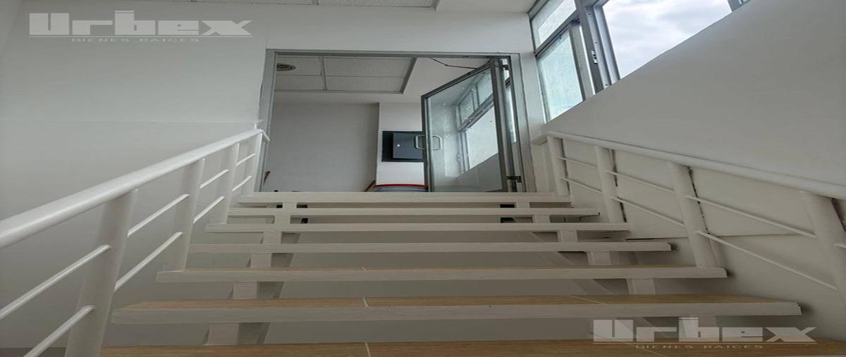 Foto de local en renta en  , cedar campeche, campeche, campeche, 0 No. 05