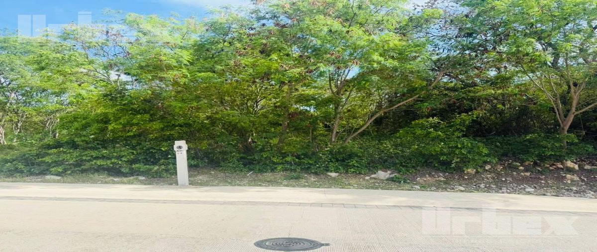 Foto de terreno habitacional en venta en  , cedar campeche, campeche, campeche, 0 No. 04