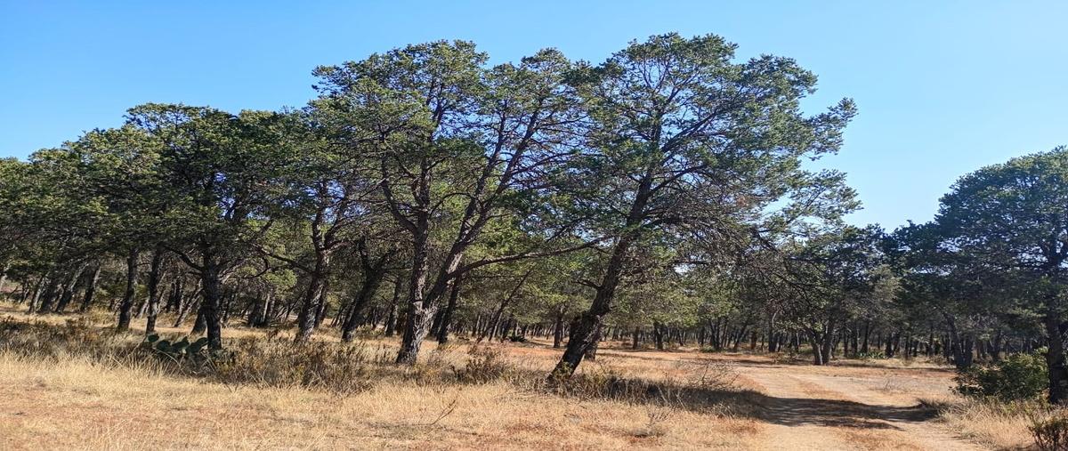 Foto de terreno habitacional en venta en cedrito , huachichil (el huache), arteaga, coahuila de zaragoza, 0 No. 04