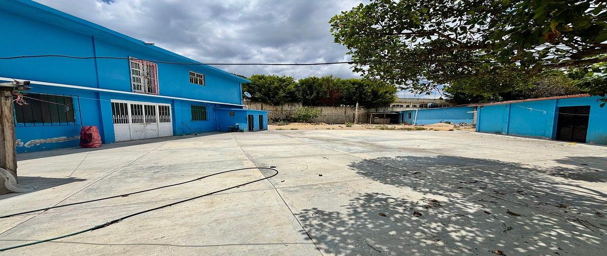 Foto de local en renta en cedro , el cedro, comitán de domínguez, chiapas, 0 No. 05