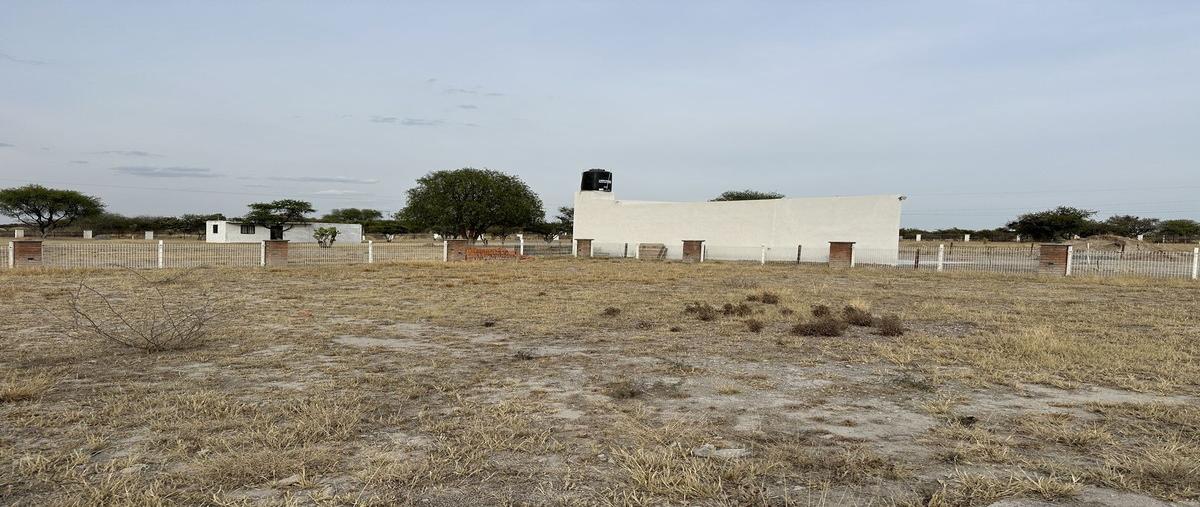 Foto de terreno habitacional en venta en cedro , el edén, aguascalientes, aguascalientes, 29510231 No. 04